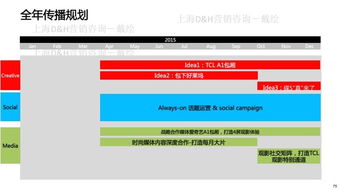 TCL數字營銷傳播 產品內容營銷策略與DH營銷咨詢實戰解析
